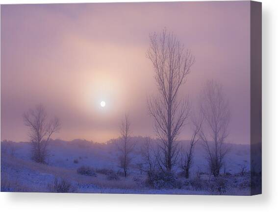 Burning Through Canvas Art Print by Darren White