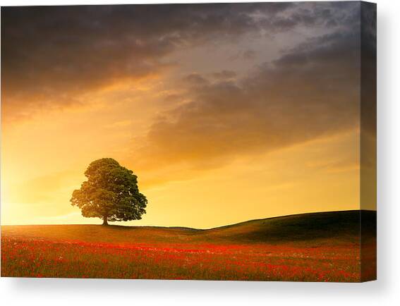Closing Flame Canvas Art Print by Ian David Soar