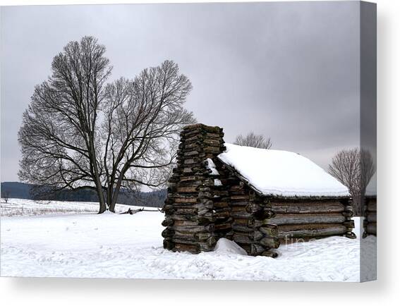 Far from the Battle Canvas Art Print by Olivier Le Queinec