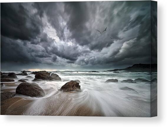 Flight Over Troubled Waters Canvas Art Print by Santiago Pascual Buye