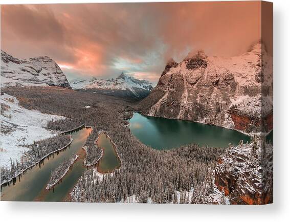 Golden Light Over Opabin Lake Canvas Art Print by David Hua