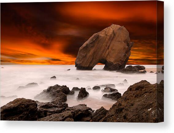 Imagine Canvas Art Print by Jorge Maia