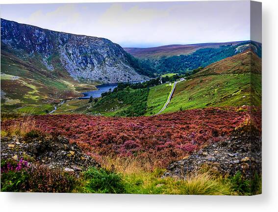Multicolored Carpet of Wicklow Hills. Ireland Canvas Art Print by Jenny Rainbow