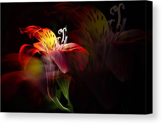 Multiplicity Canvas Art Print by Darlene Kwiatkowski