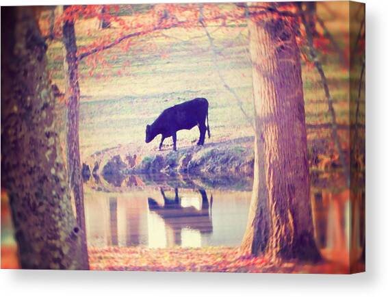 My Own Paradise Canvas Art Print by Amy Tyler