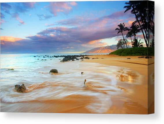 PAradise Dawn Canvas Art Print by Michael Dawson
