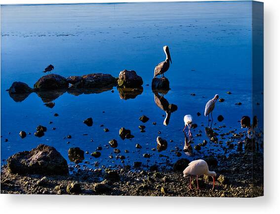 Reflecting   Canvas Art Print by Lars Lentz