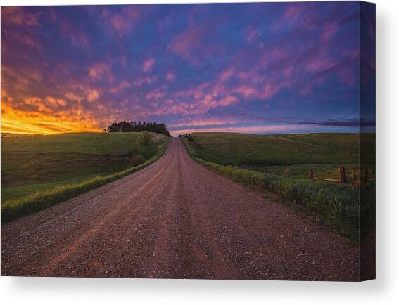 Road to Nowhere EL Canvas Art Print by Aaron J Groen