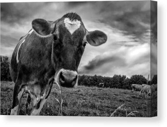 She wears her heart for all to see Canvas Art Print by Bob Orsillo