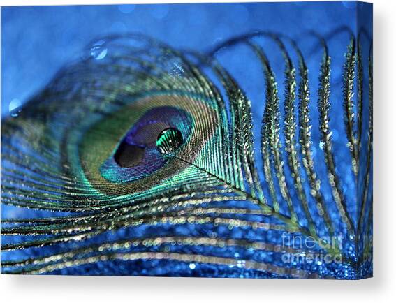 Twilight Escape Canvas Art Print by Krissy Katsimbras