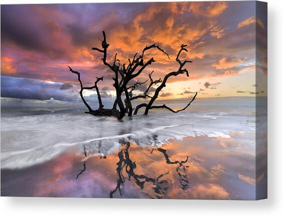 Wildfire Canvas Art Print by Debra and Dave Vanderlaan