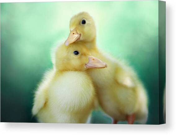 You Make Me Smile Canvas Art Print by Amy Tyler