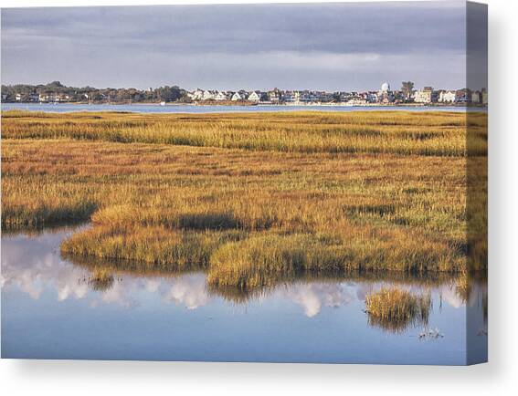 Cape May Fall Marsh Grass Canvas Art Print by Tom Singleton