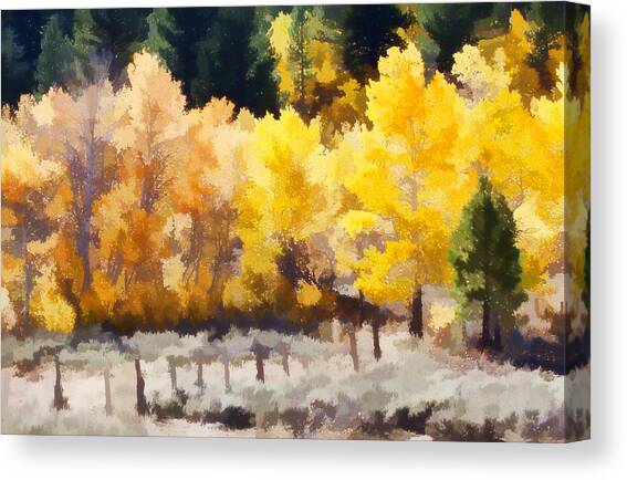 Autumn Forest with Golden Trees Canvas Print