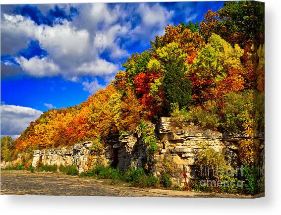 Nature's Arbor Bouquet Canvas Art Print by Duluth To Door County Photography