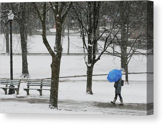 A Pedestrian Walks Through Boston Canvas Art Print by Brian Snyder