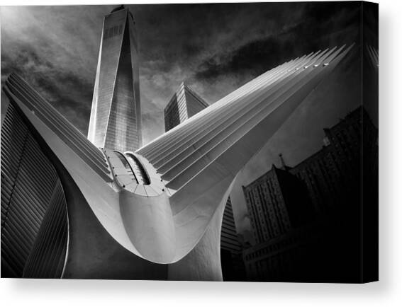 Oculus #01 Canvas Art Print by Alessio Forlano