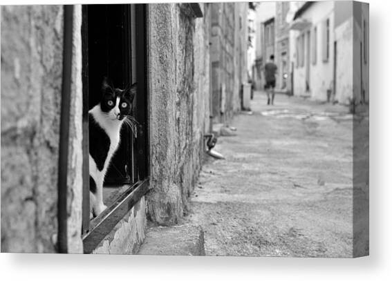 Who Is It? Canvas Art Print by Mina Bal