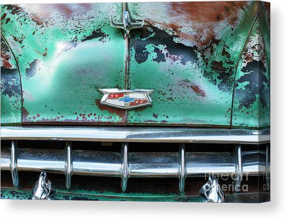 54 Chevy Rust and Paint Canvas Art Print by Tim Gainey