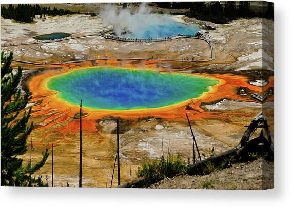 Grand Prismatic Spring no border Canvas Art Print by Greg Norrell
