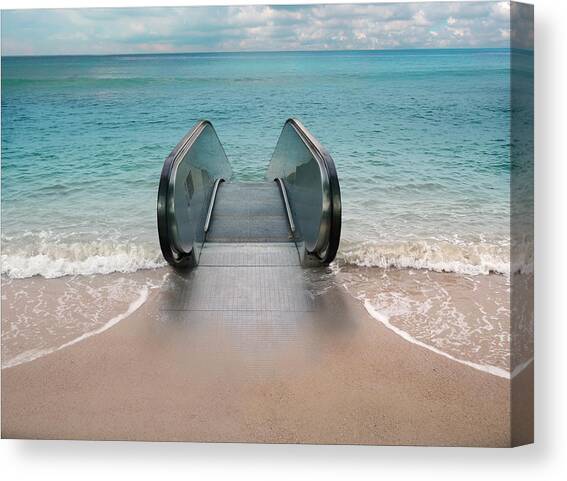 Canvas Print featuring the photograph Dive #1 by Andrew Kow