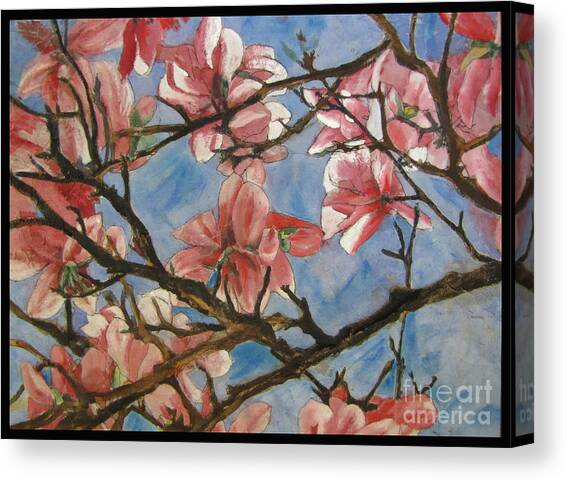 Magnolia Tree Canvas Art Print by Bev Morgan