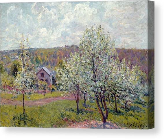 Spring In The Environs Of Paris, Apple Blossom Canvas Art Print by Alfred Sisley