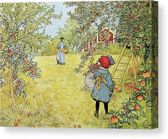 The Apple Harvest Canvas Art Print by Carl Larsson