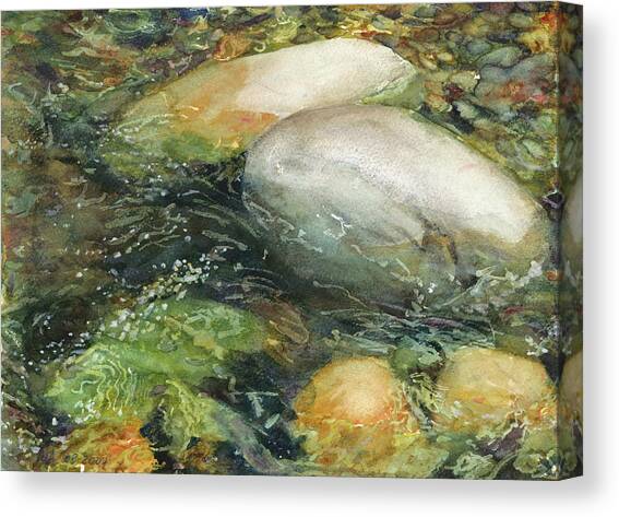 Elbow River Rocks 2 Canvas Art Print by Madeleine Arnett