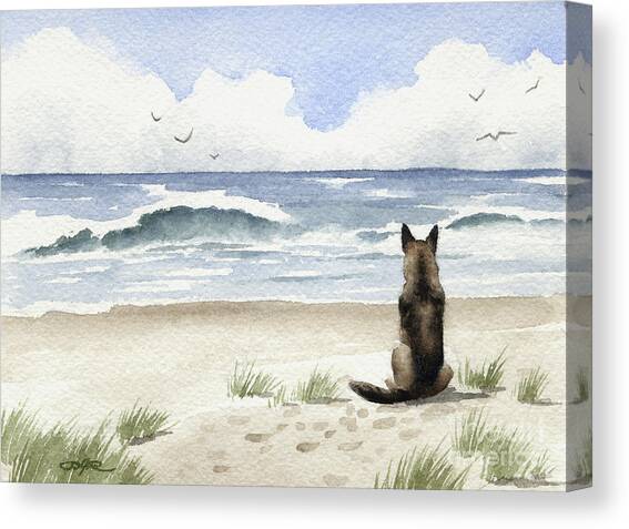 German Shepherd on the Beach Canvas Art Print by David Rogers