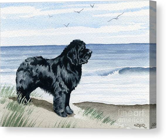 Black Dog by the Ocean Canvas Print