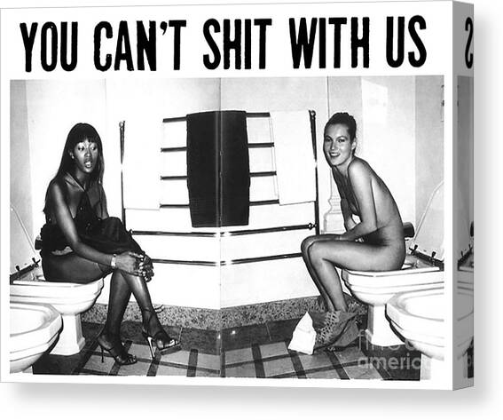 You Can't Shit With Us Canvas Art Print by Pia Abrahamsson