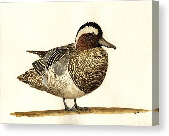 Garganey duck Canvas Art Print by Juan  Bosco