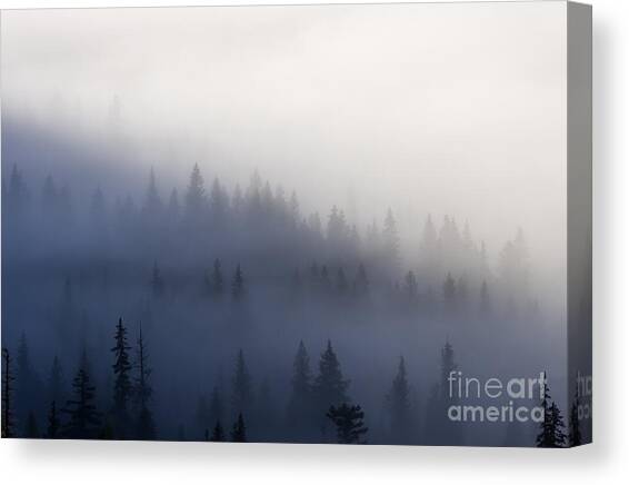 Piercing the Veil Canvas Art Print by Michael Dawson