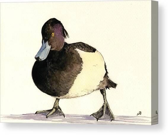 Tufted duck Canvas Art Print by Juan  Bosco