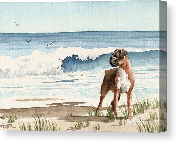 Boxer At The Beach Canvas Art Print by David Rogers