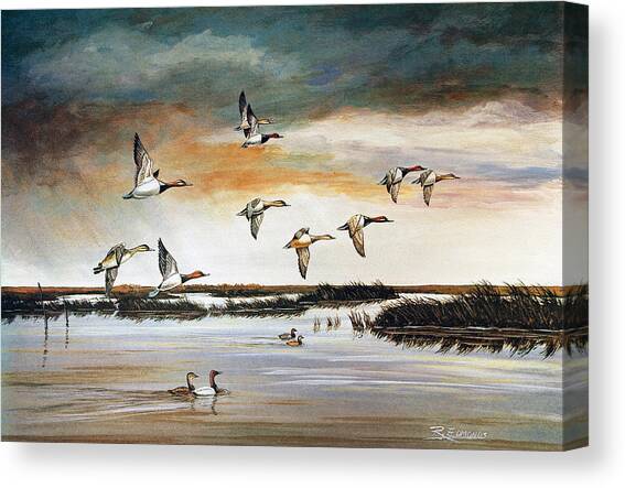 Redheads in Flight Canvas Art Print by Raymond Edmonds