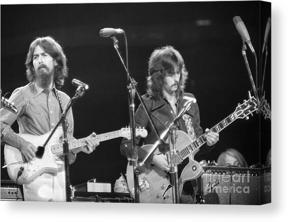 Iconic Guitar Duo on Stage Canvas Print