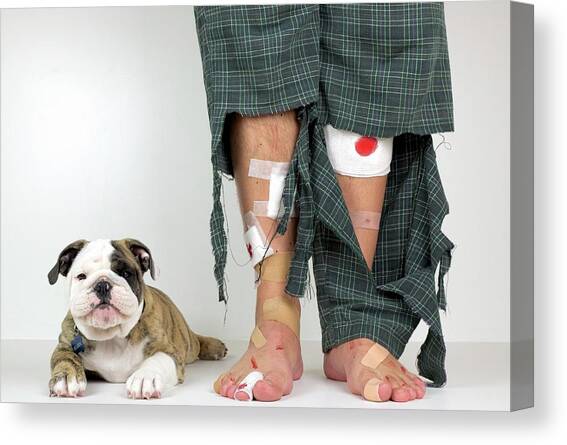 Get A Puppy, They Said Canvas Art Print by Mike Melnotte