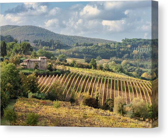 Tuscan Valley Canvas Art Print by Dave Bowman