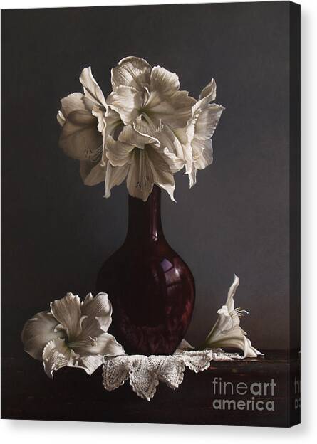 Amaryllis  Canvas Art Print by Lawrence Preston