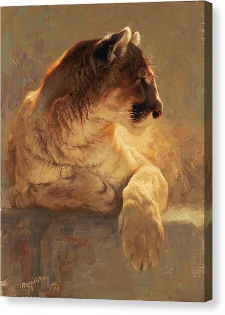 Repose Canvas Art Print by Greg Beecham