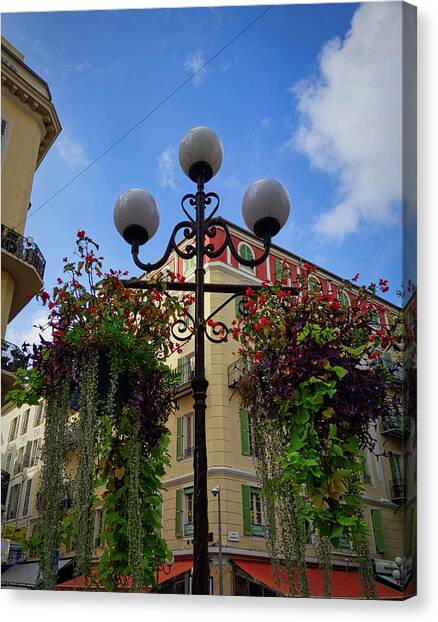 Nice View Canvas Art Print by Portia Olaughlin