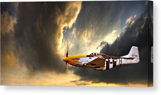 Ferocious Frankie Canvas Art Print by Meirion Matthias