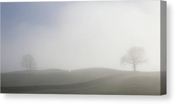 Appearing from the Mist Canvas Art Print by David Handson
