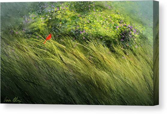 Cardinal Amidst Tall Grasses Canvas Print