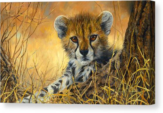Baby Cheetah Resting in Grass Canvas Print