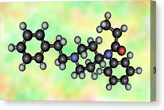 Fentanyl, Molecular Model Canvas Art Print by Scimat