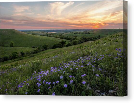 Prairie In Bloom Canvas Art Print by Scott Bean
