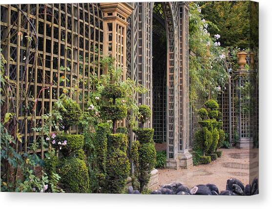 Trellis Corridor Canvas Art Print by Portia Olaughlin